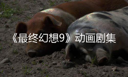 想9认制魔导动最终幻作中集确 聚焦黑画剧士