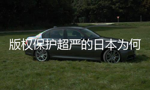 版权保护本为行人文超严的日地带二创揭秘业界何同化盛灰色
