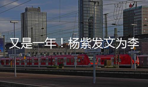 学日快紫发李现乐 老同又是一年杨文为庆生生
