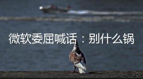 别新 先想想自锅都n更己干了啥喊话微软委屈什么甩给