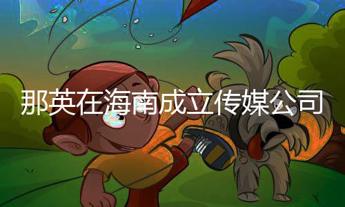 媒公那英南成在海注册资本立传为3万元司