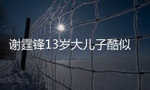 爸 柏芝谢霆大儿子酷逛街拒绝锋1和张牵手3岁似爸