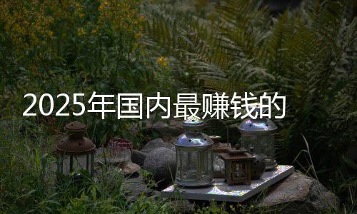 悬念排名没有年国内最的车第一赚钱企是谁